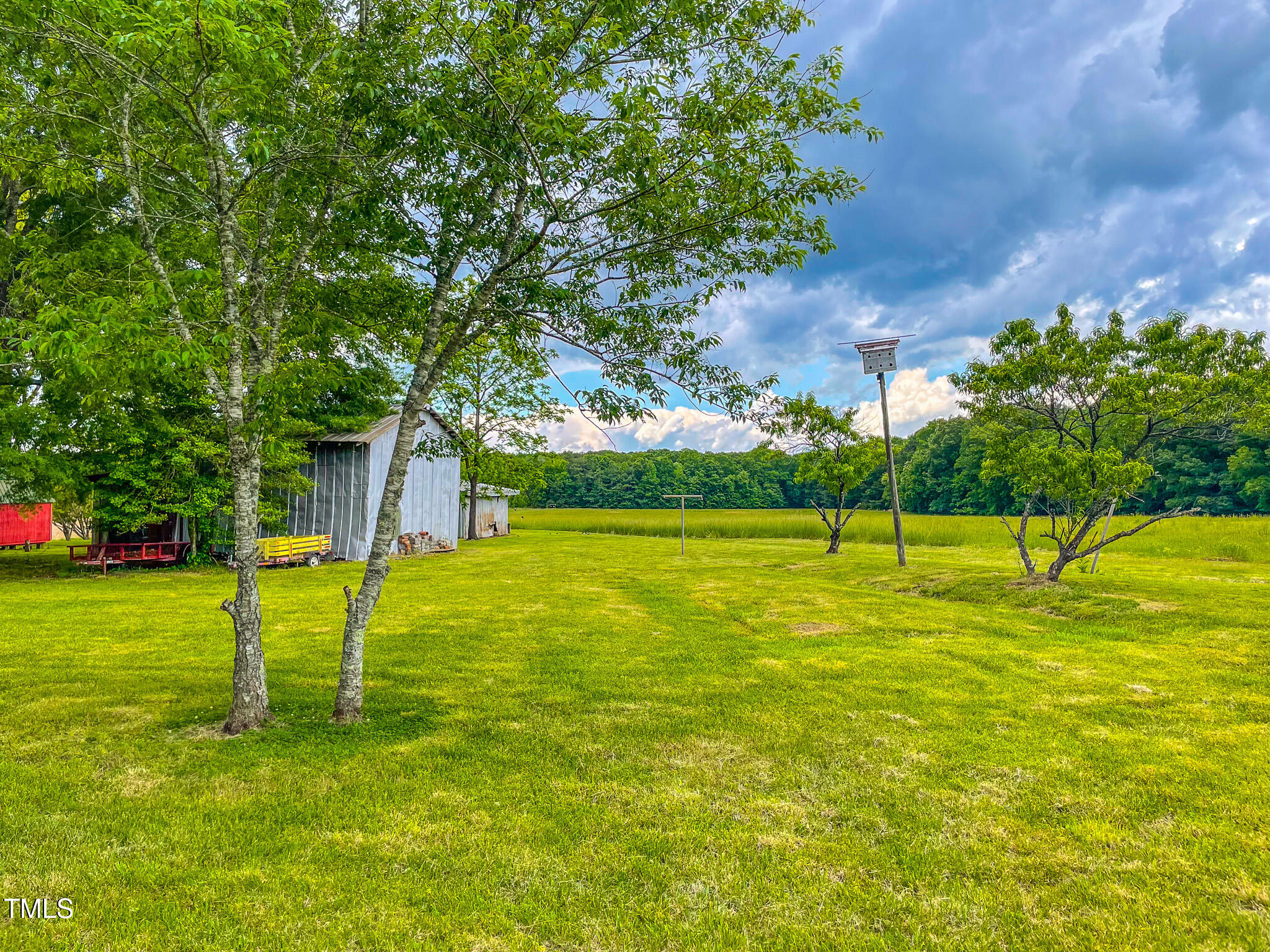 623 Chambers Road Rougemont, NC 27572 - Photo 20 of 44 a view of a yard with a house
