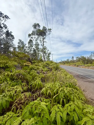 $44,000 | 1384 Volcano Road, Mountain View, HI 96771