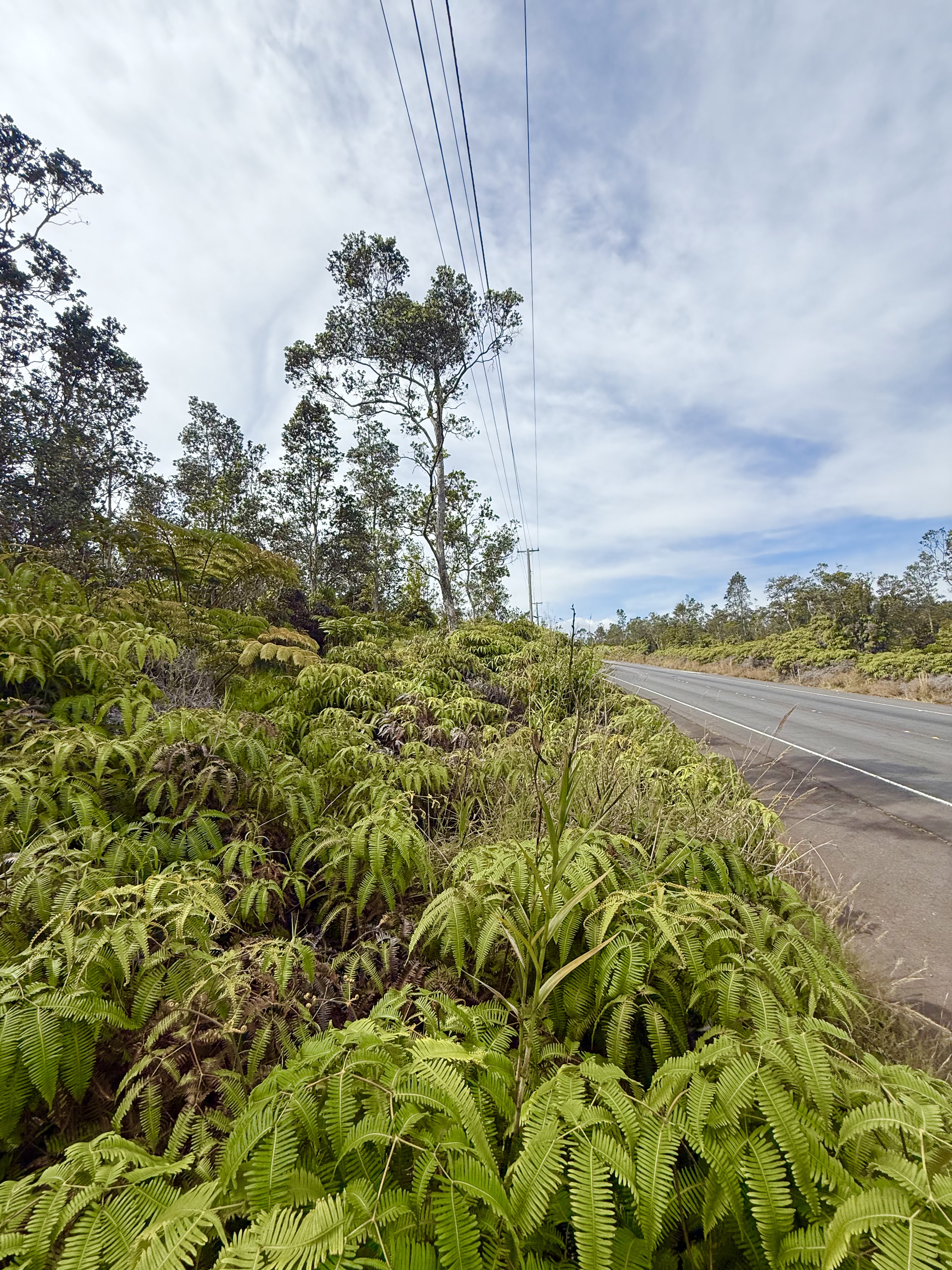 a view of a yard with an ocean