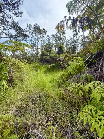 $44,000 | 1384 Volcano Road, Mountain View, HI 96771