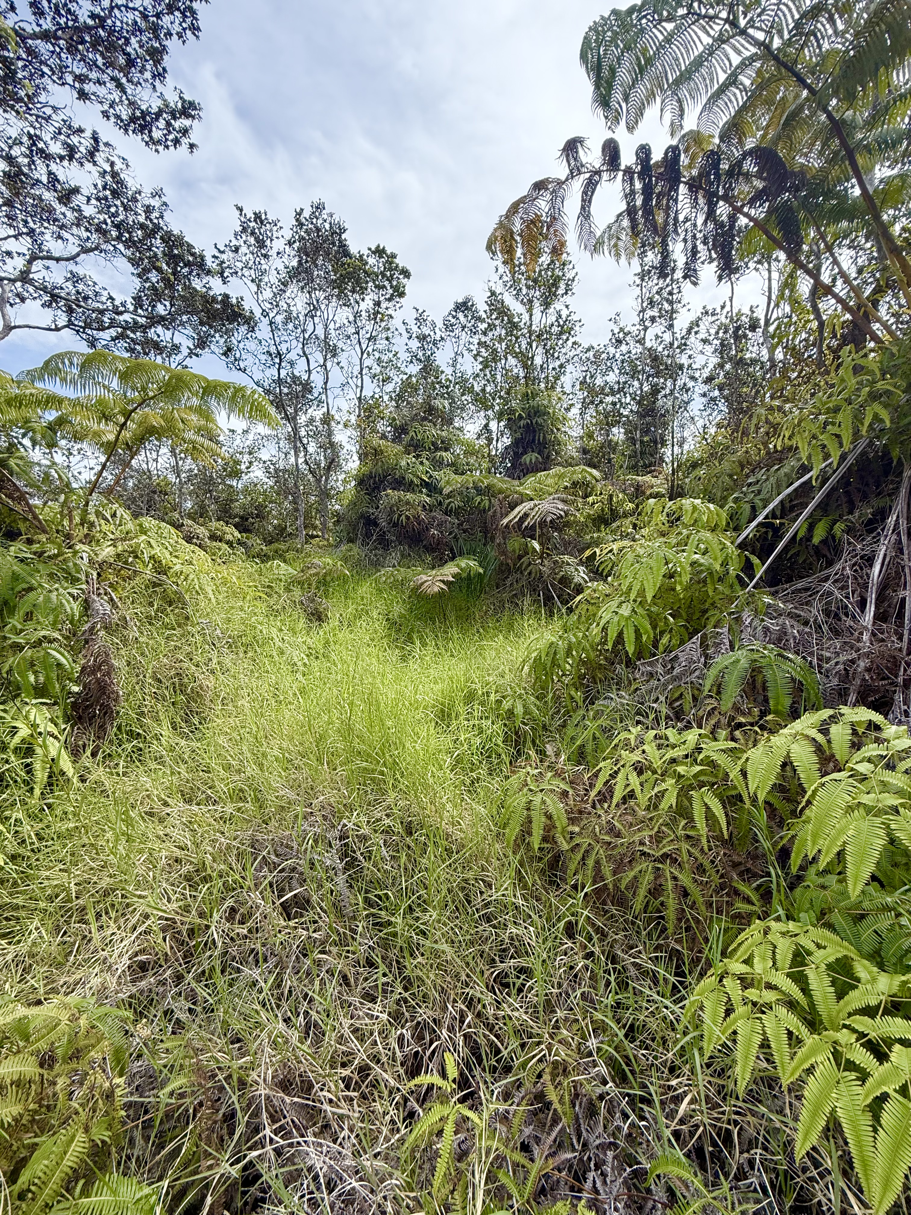 1384 Volcano Road Volcano, HI 96785 - Photo 3 of 4 a view of lake view