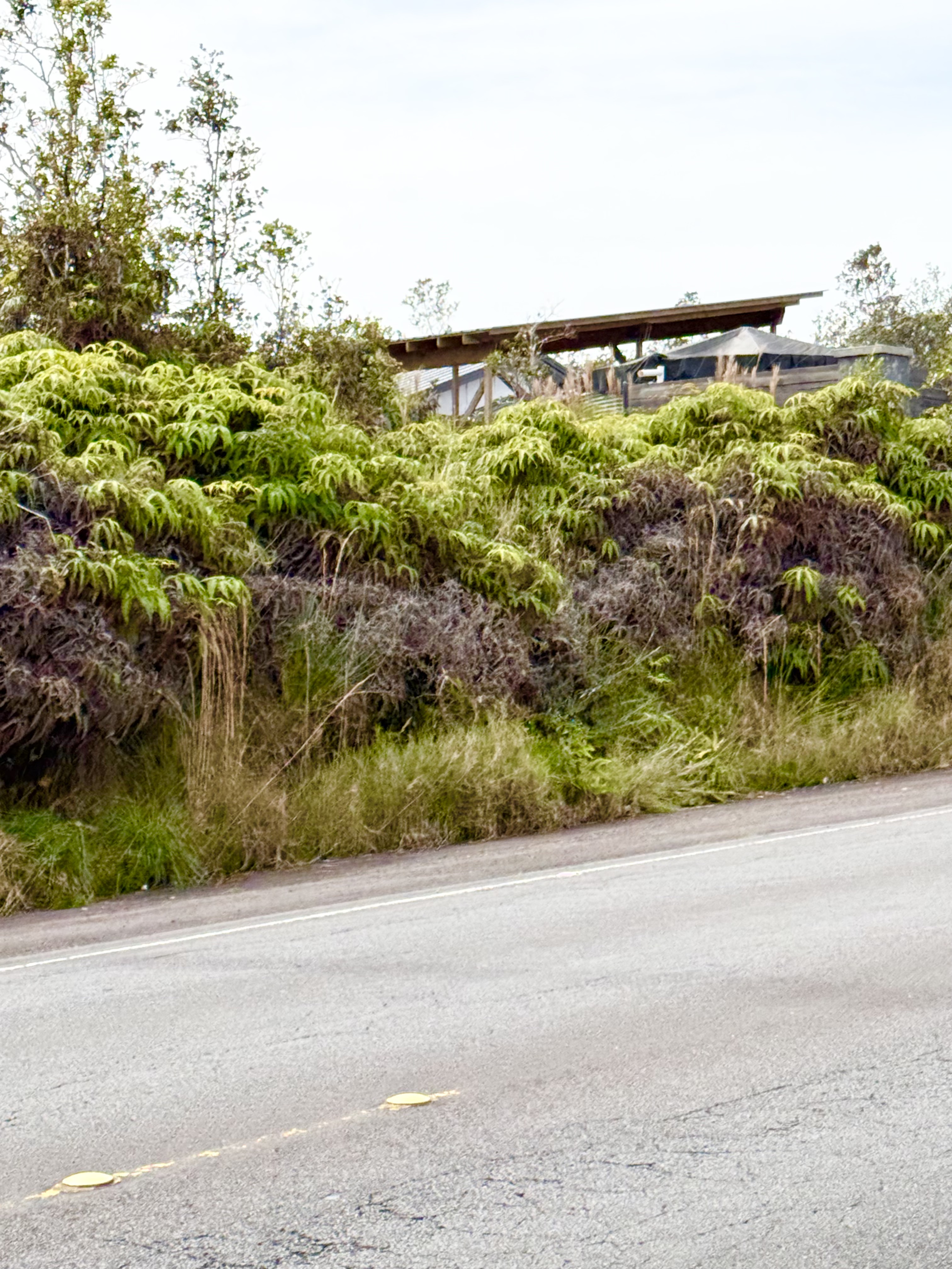 1384 Volcano Road Volcano, HI 96785 - Photo 4 of 4 a view of a street