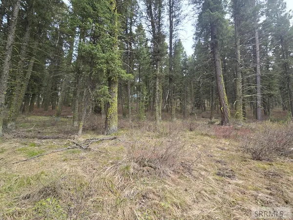$158,000 | 3548 Aspen Drive, Island Park, ID 83429