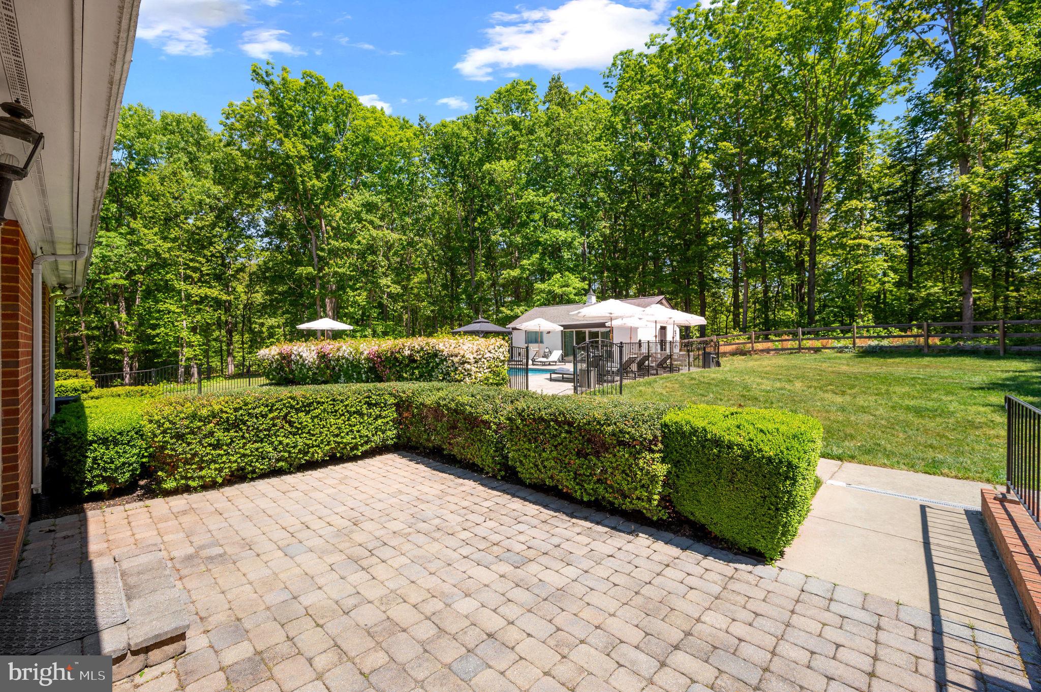 144 Clark Patton Road Fredericksburg, VA 22406 - Photo 20 of 72 family room walks out to patio