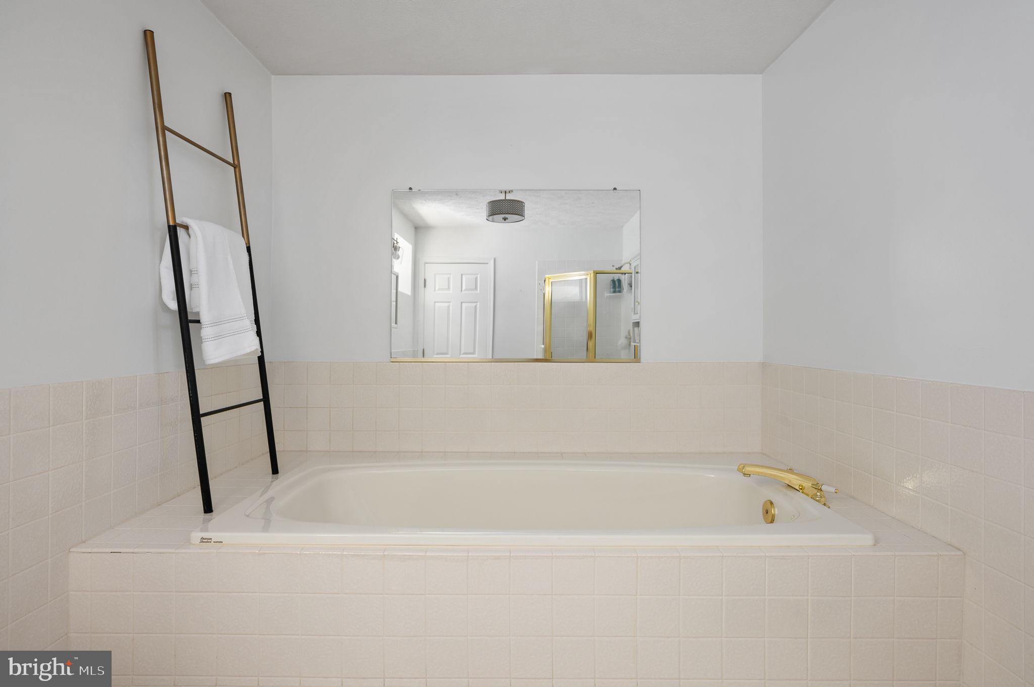 144 Clark Patton Road Fredericksburg, VA 22406 - Photo 39 of 72 Downstairs bathroom with soaking tub