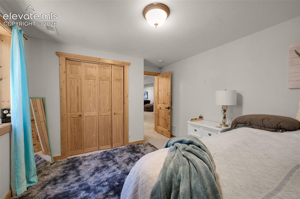 897 Fossil Creek Road Florissant, CO 80816 - Photo 29 of 41