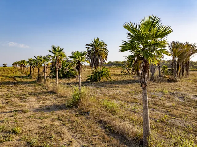 a view of outdoor space with trees