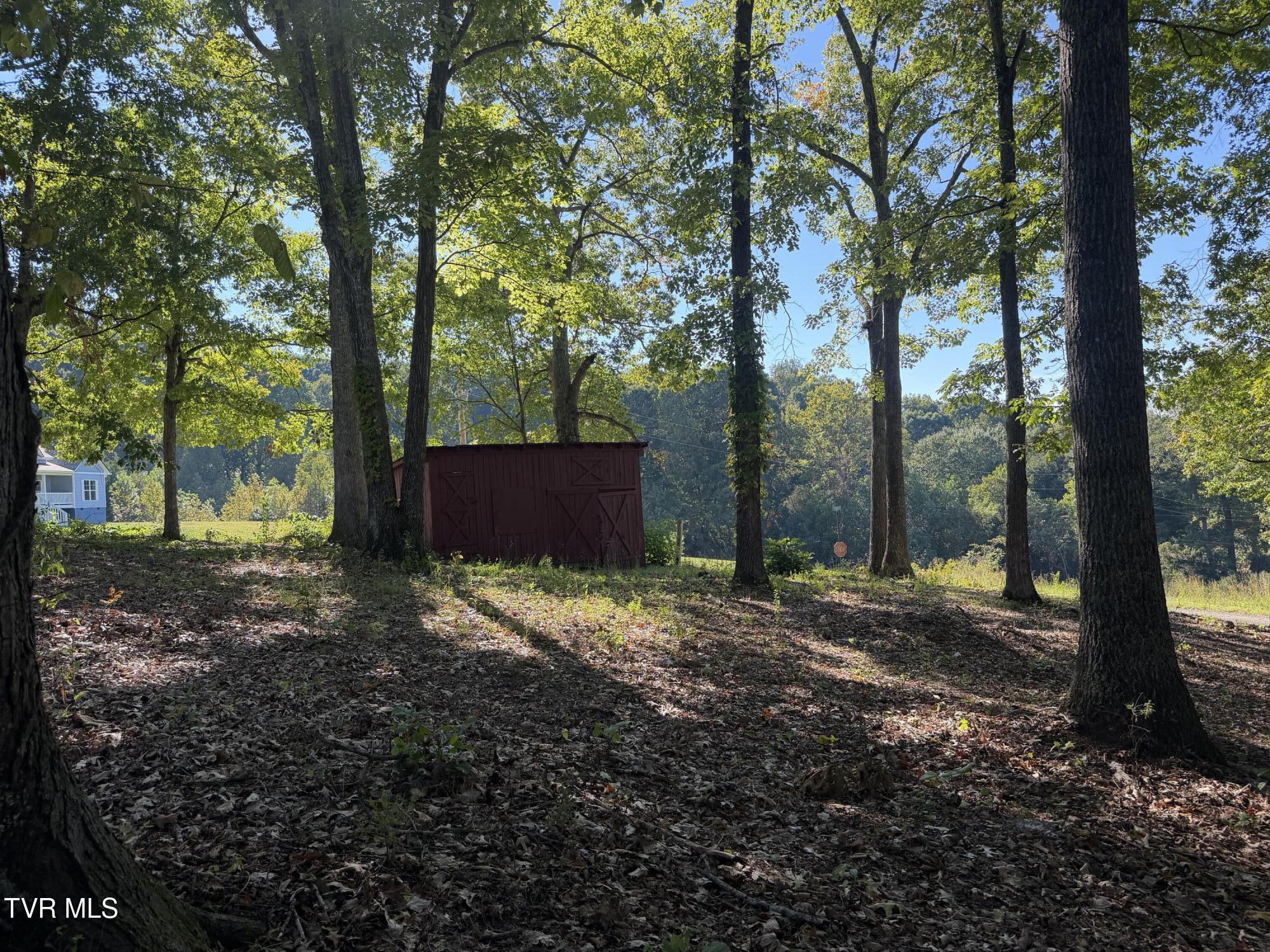 Tbd Short Road Chuckey, TN 37641 - Photo 8 of 16 IMG_7257