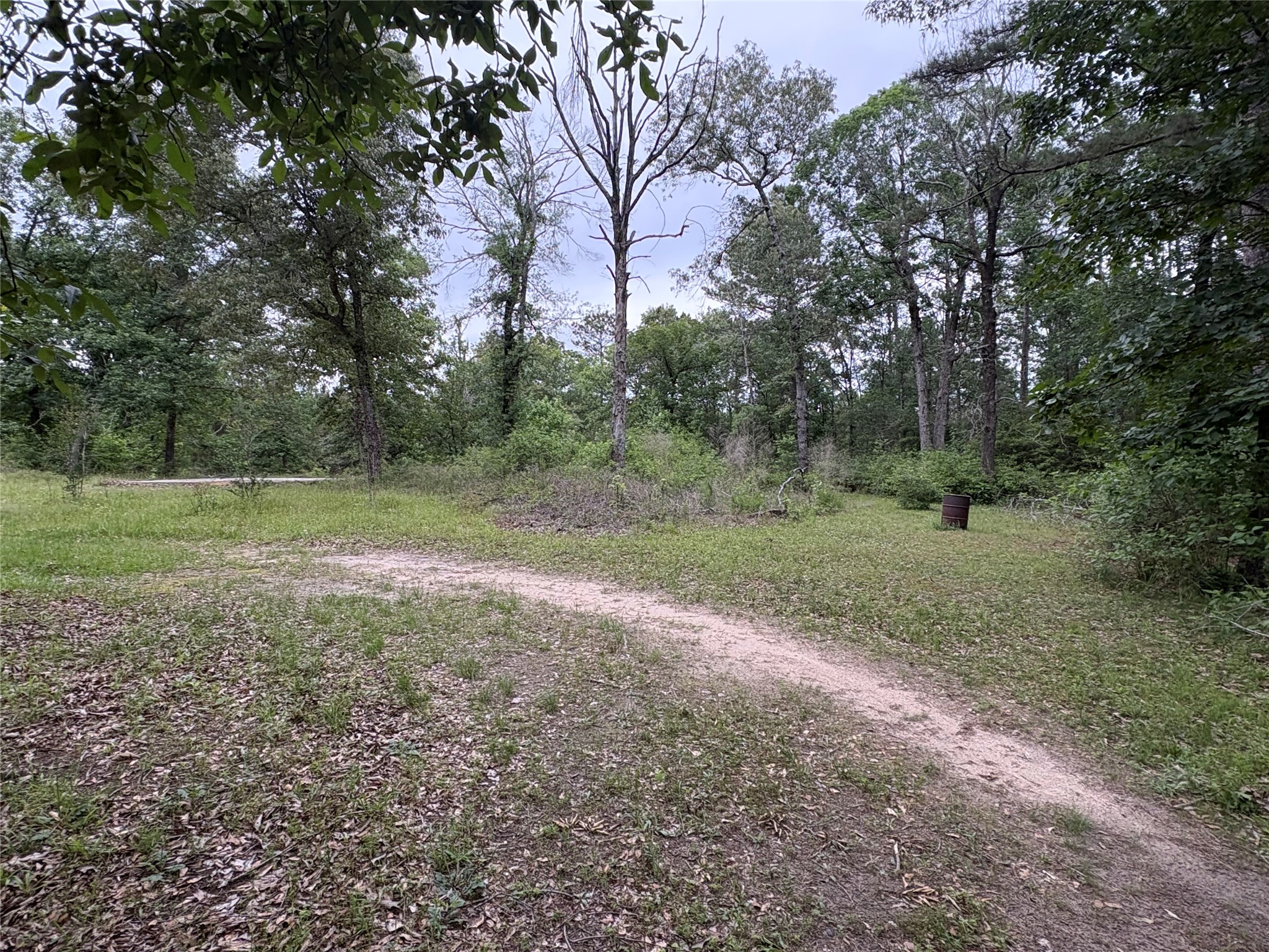 550 Dogwood Road Cleveland, TX 77328 - Photo 47 of 49 a view of outdoor space with trees