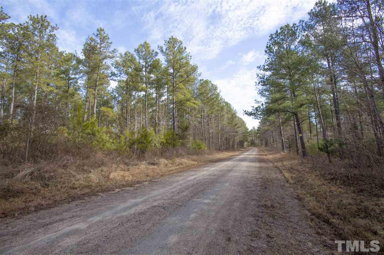 General Green Road Kittrell, NC 27544 - Photo 11 of 17 a view of a dirt road with trees in front of it
