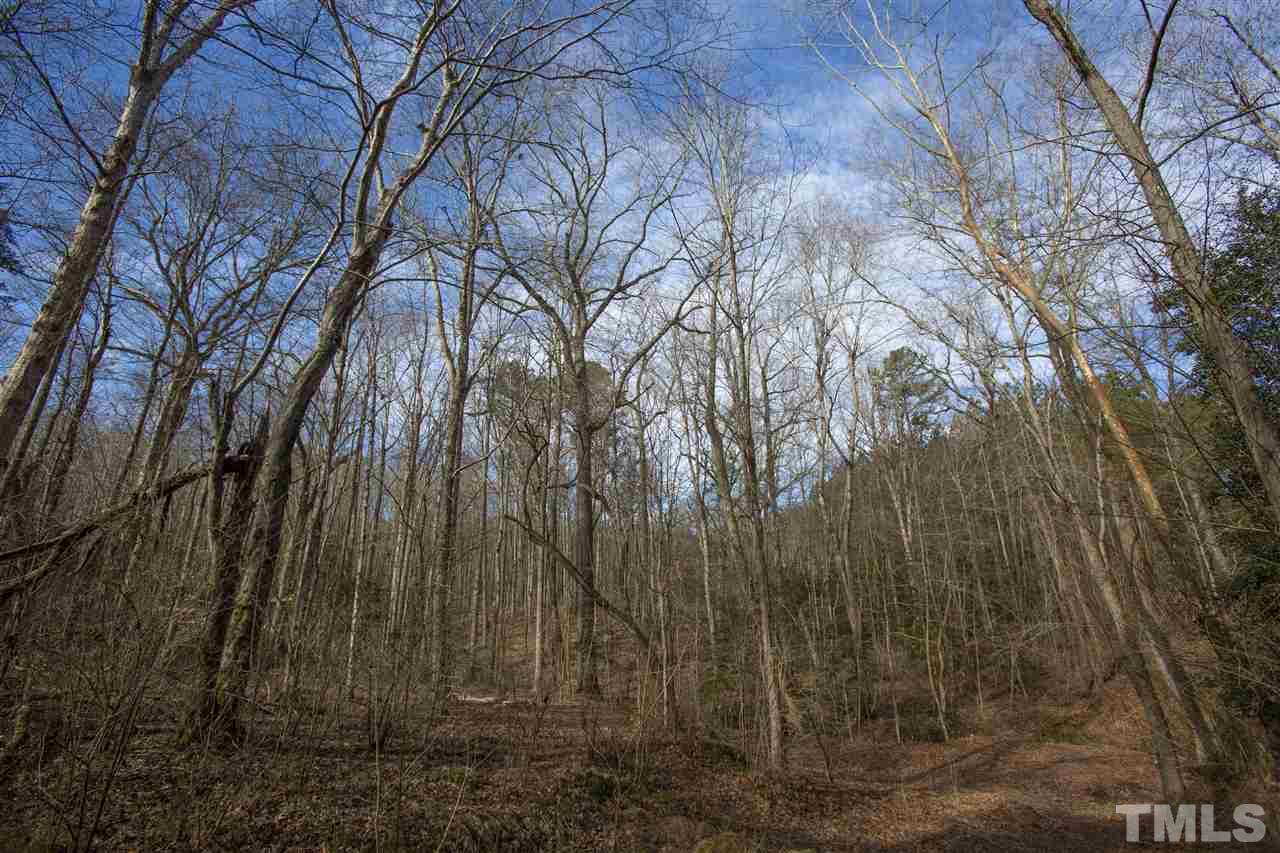 General Green Road Kittrell, NC 27544 - Photo 12 of 17 a view of a backyard of the house