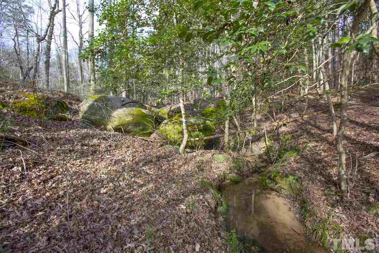 General Green Road Kittrell, NC 27544 - Photo 13 of 17 a view of a yard with plants and large trees