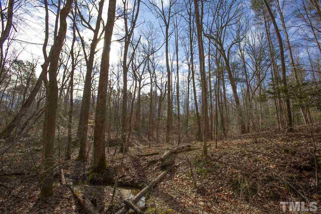 General Green Road Kittrell, NC 27544 - Photo 14 of 17 a view of backyard with green space
