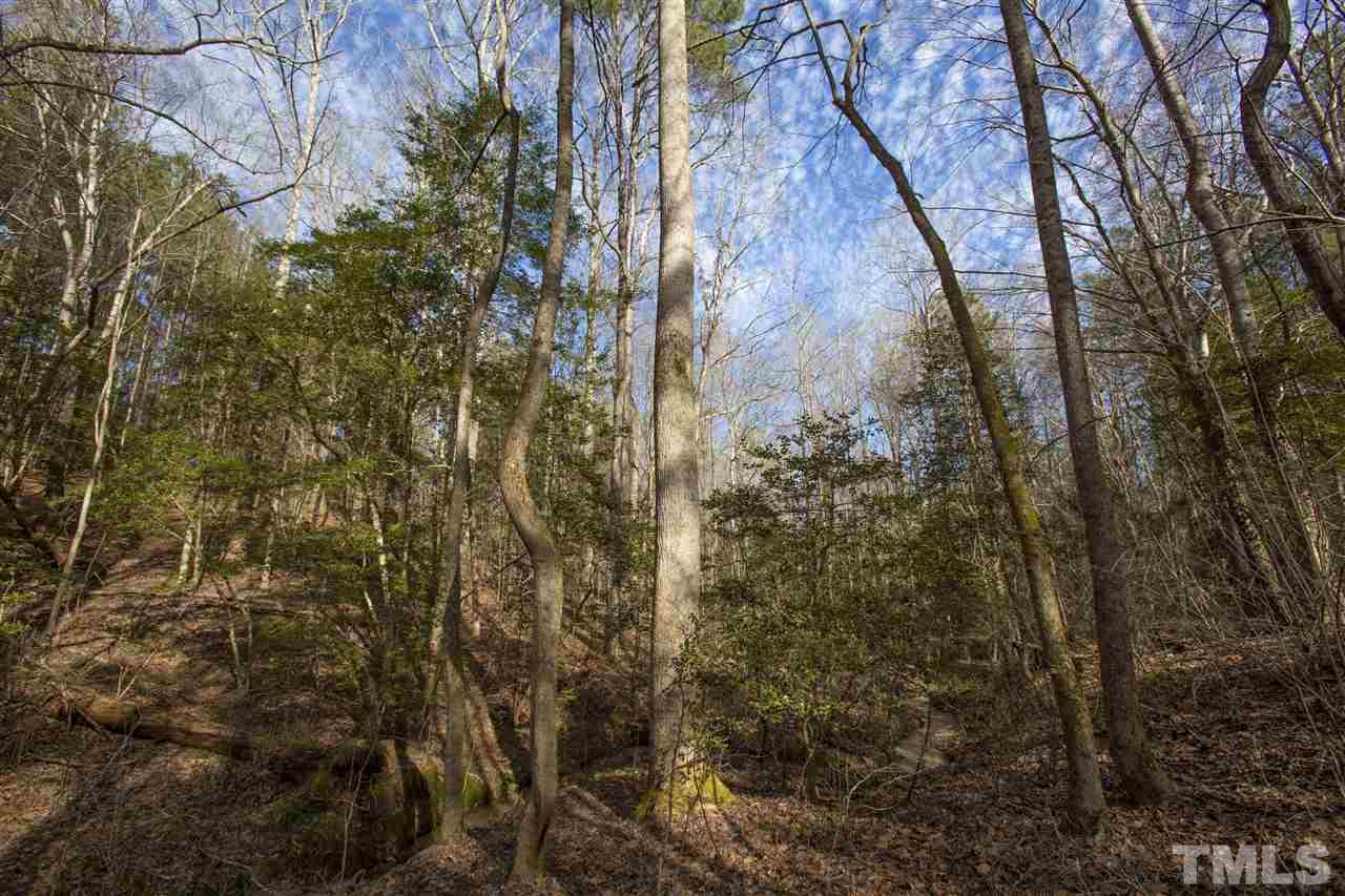 General Green Road Kittrell, NC 27544 - Photo 15 of 17 a view of a yard
