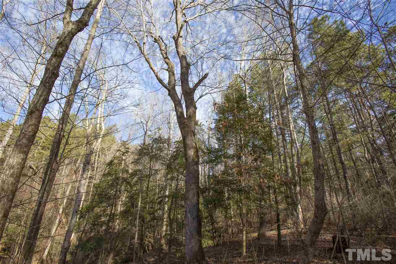 General Green Road Kittrell, NC 27544 - Photo 16 of 17 a view of a yard