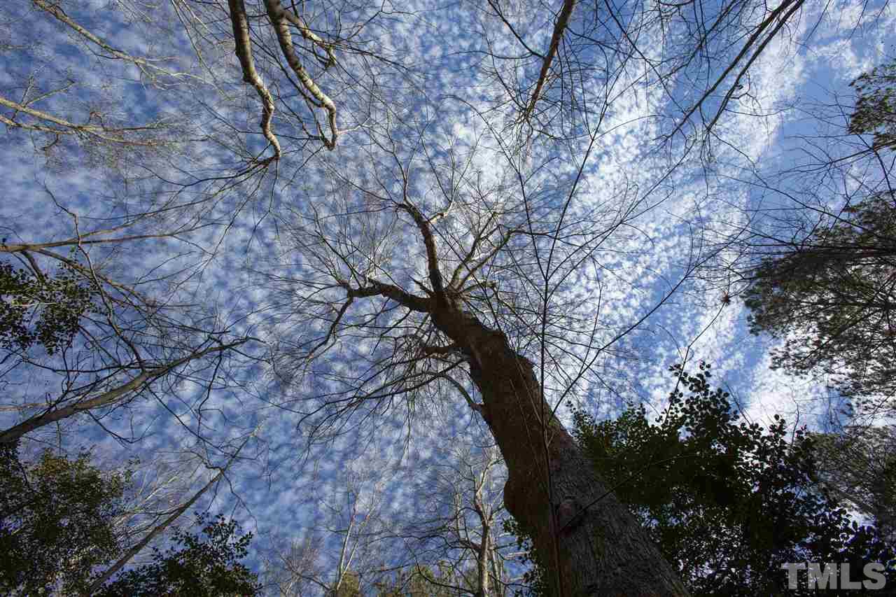 General Green Road Kittrell, NC 27544 - Photo 17 of 17 a backyard of a house with large trees