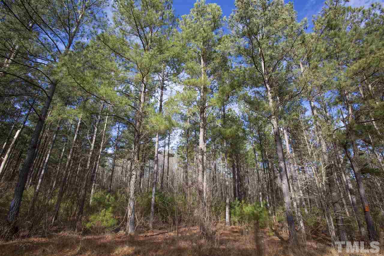 General Green Road Kittrell, NC 27544 - Photo 8 of 17 a view of forest