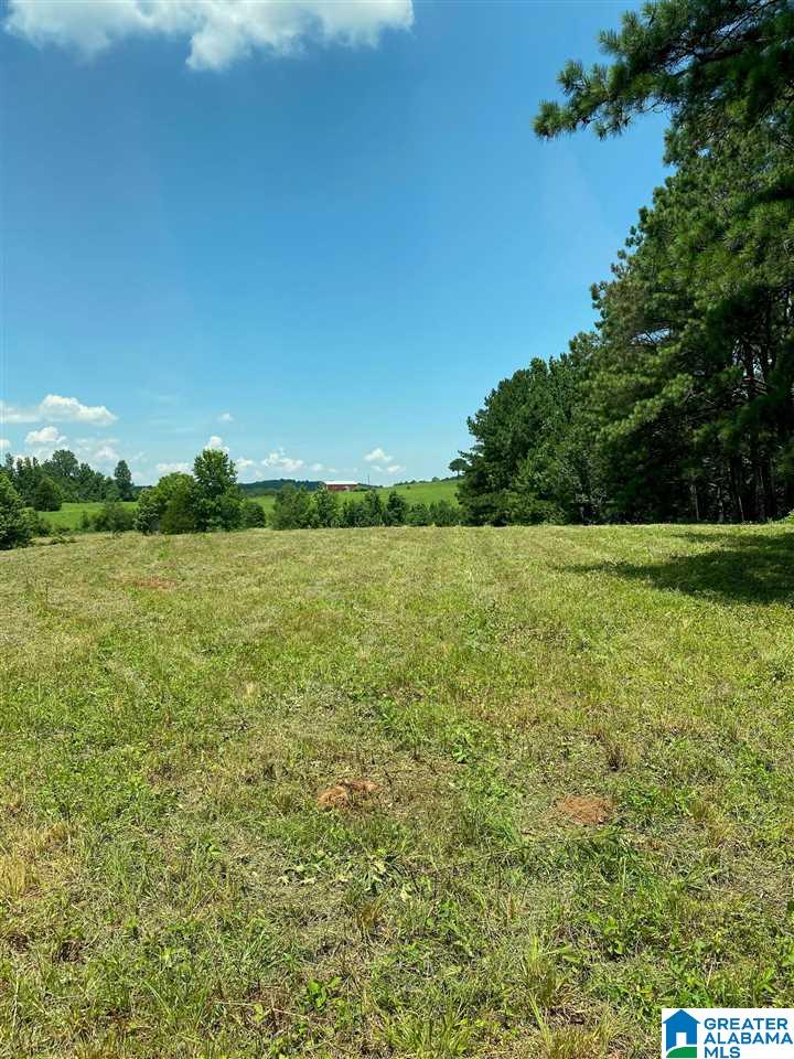 0 Runway Drive, Unit 1 Hayden, AL 35079 - Photo 3 of 9