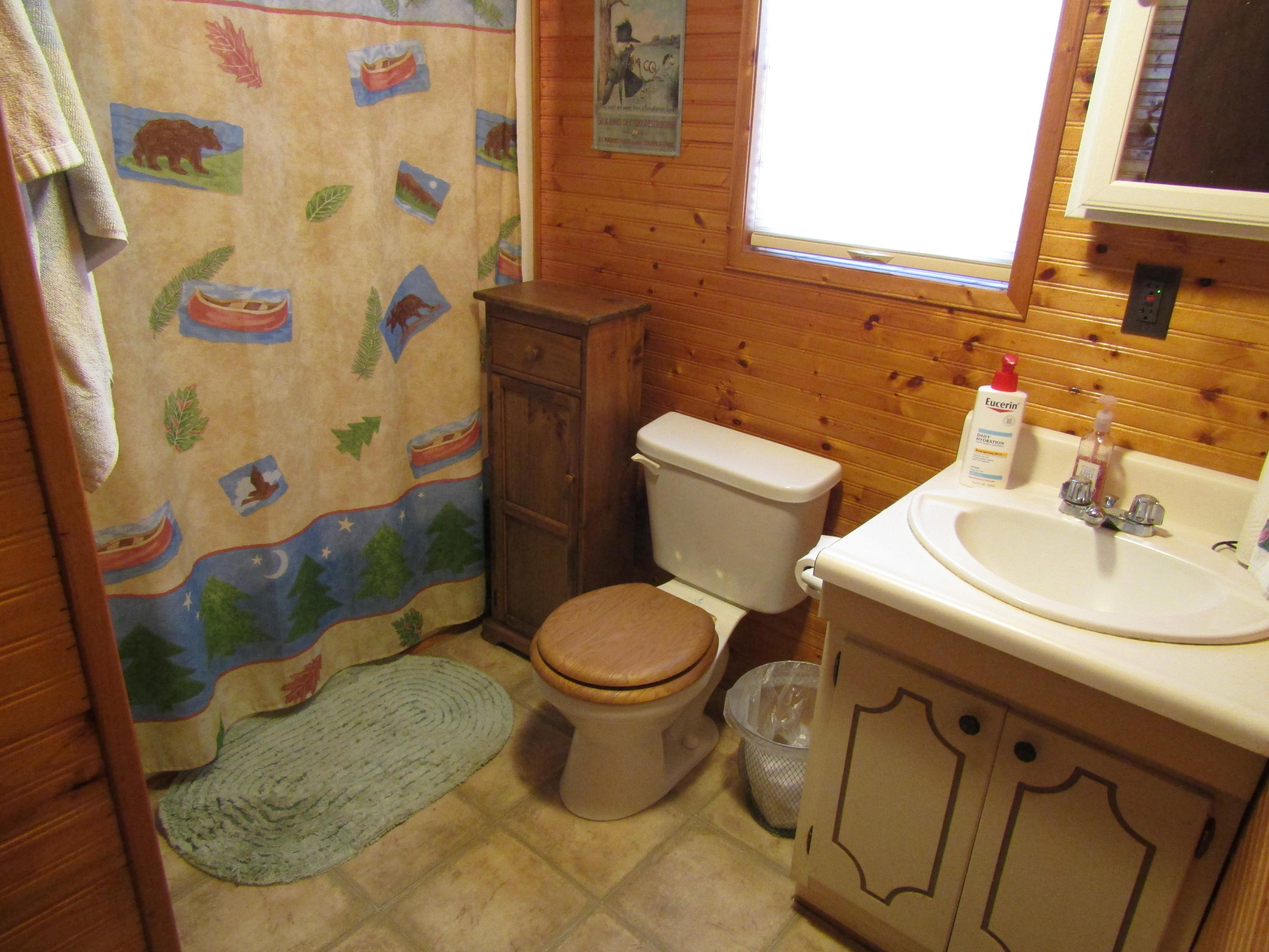 169 Wren Road Speedwell, TN 37870 - Photo 11 of 19 IMG_0243