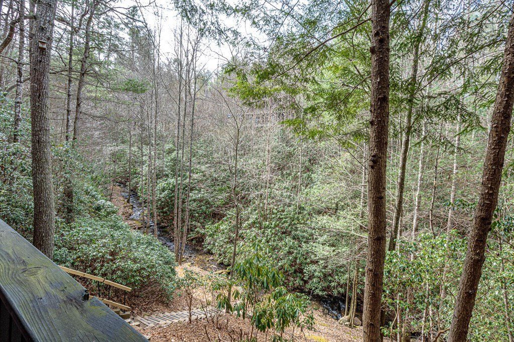 325 Trickling Branch Way Murphy, NC 28906 - Photo 17 of 58