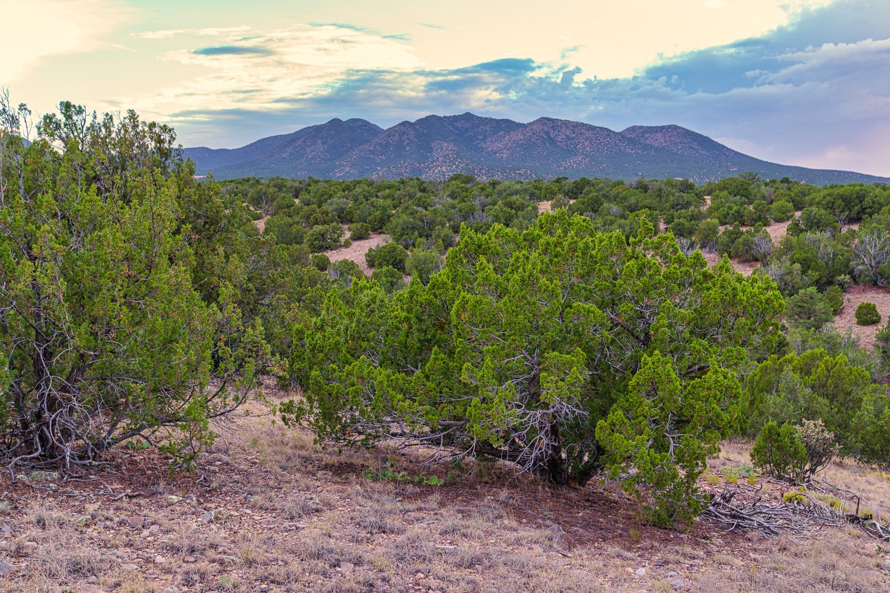 176 Wagon Trail Road Cerrillos, NM 87010 - Photo 23 of 35