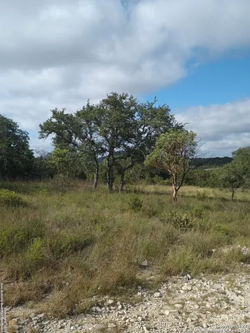 a view of a dry yard with trees