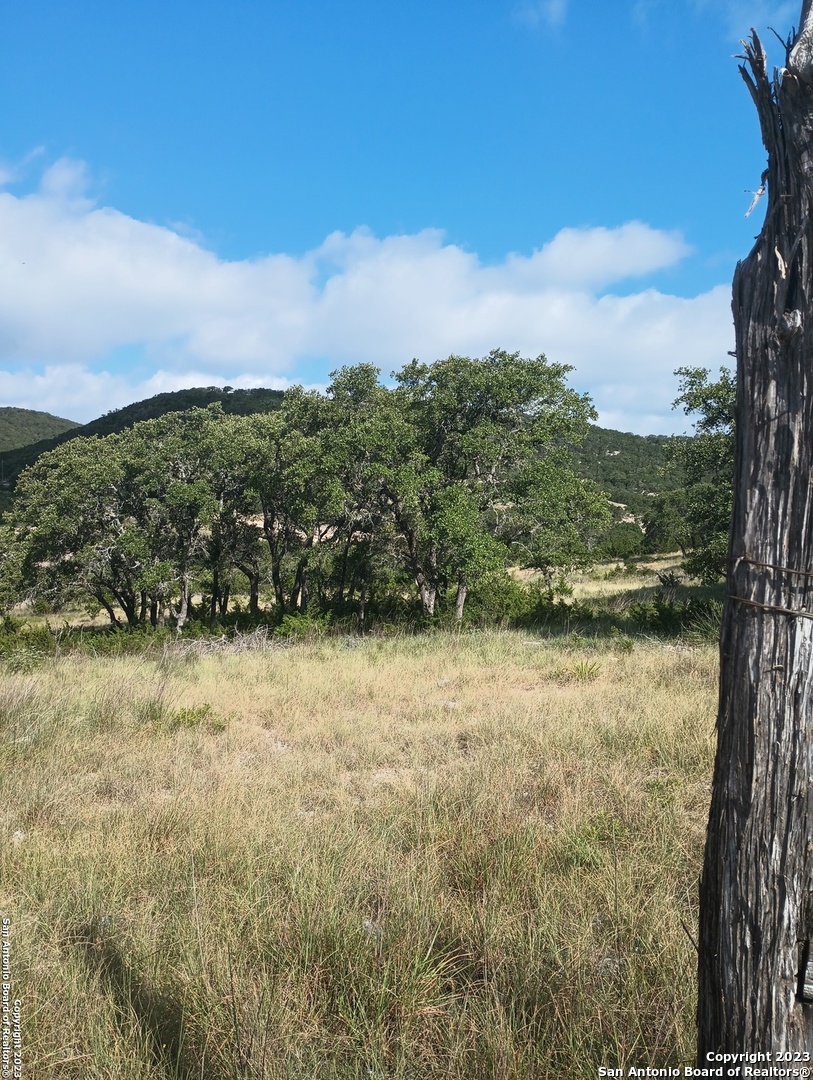761 West Bear Springs Road Pipe Creek, TX 78063 - Photo 3 of 11 a view of lake