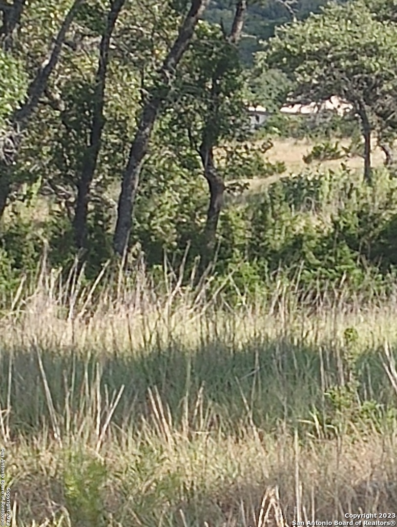 761 West Bear Springs Road Pipe Creek, TX 78063 - Photo 8 of 11 a close up of a tree in a lake