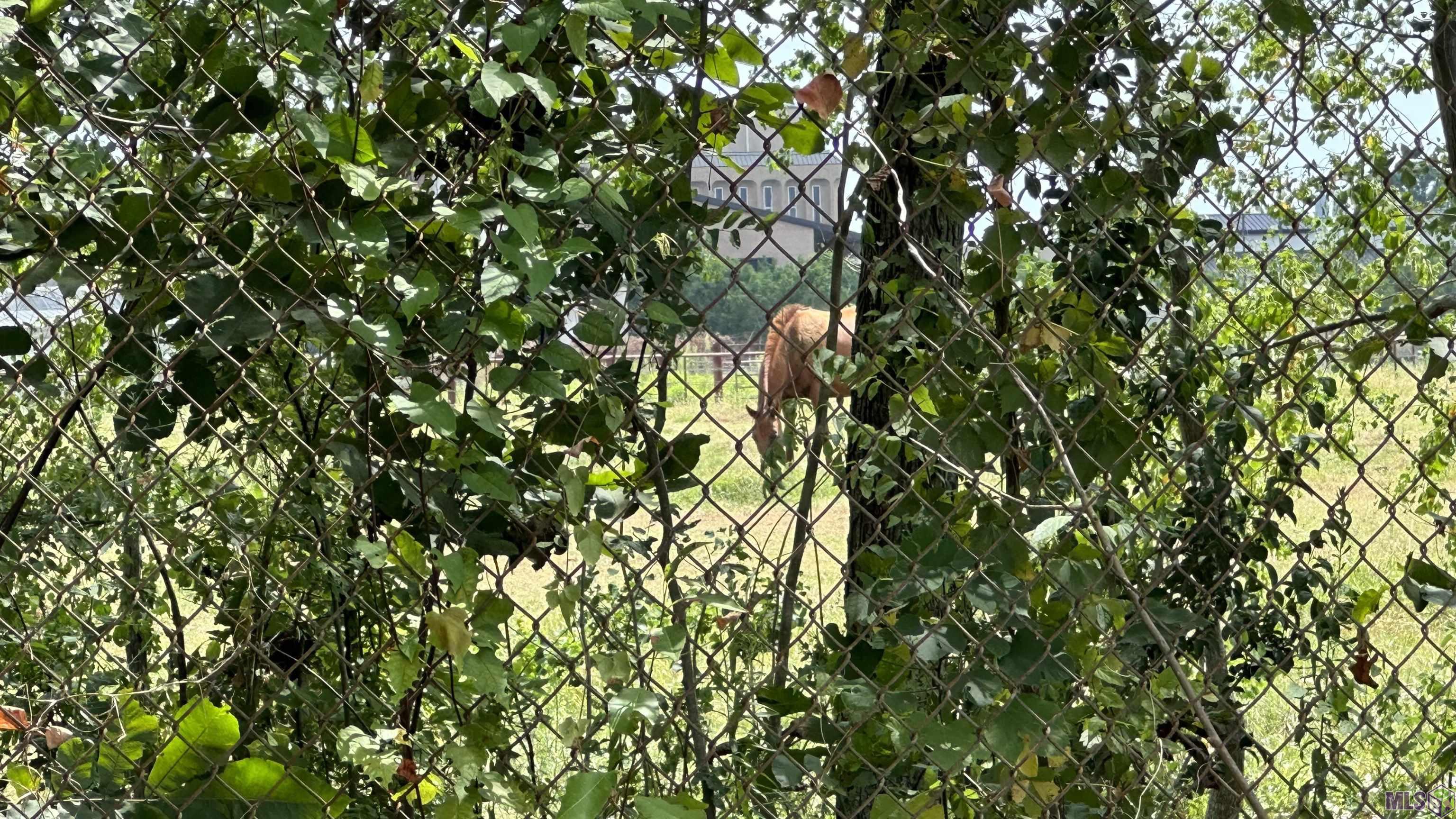 1275 West Chimes Street Baton Rouge, LA 70802 - Photo 5 of 8