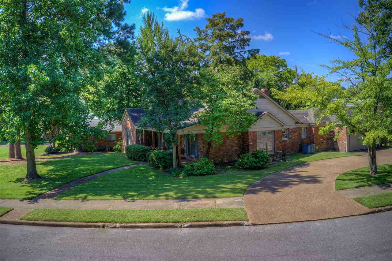 905 Park Valley Road Memphis, TN 38119 - Photo 22 of 25 Gallery Image 22