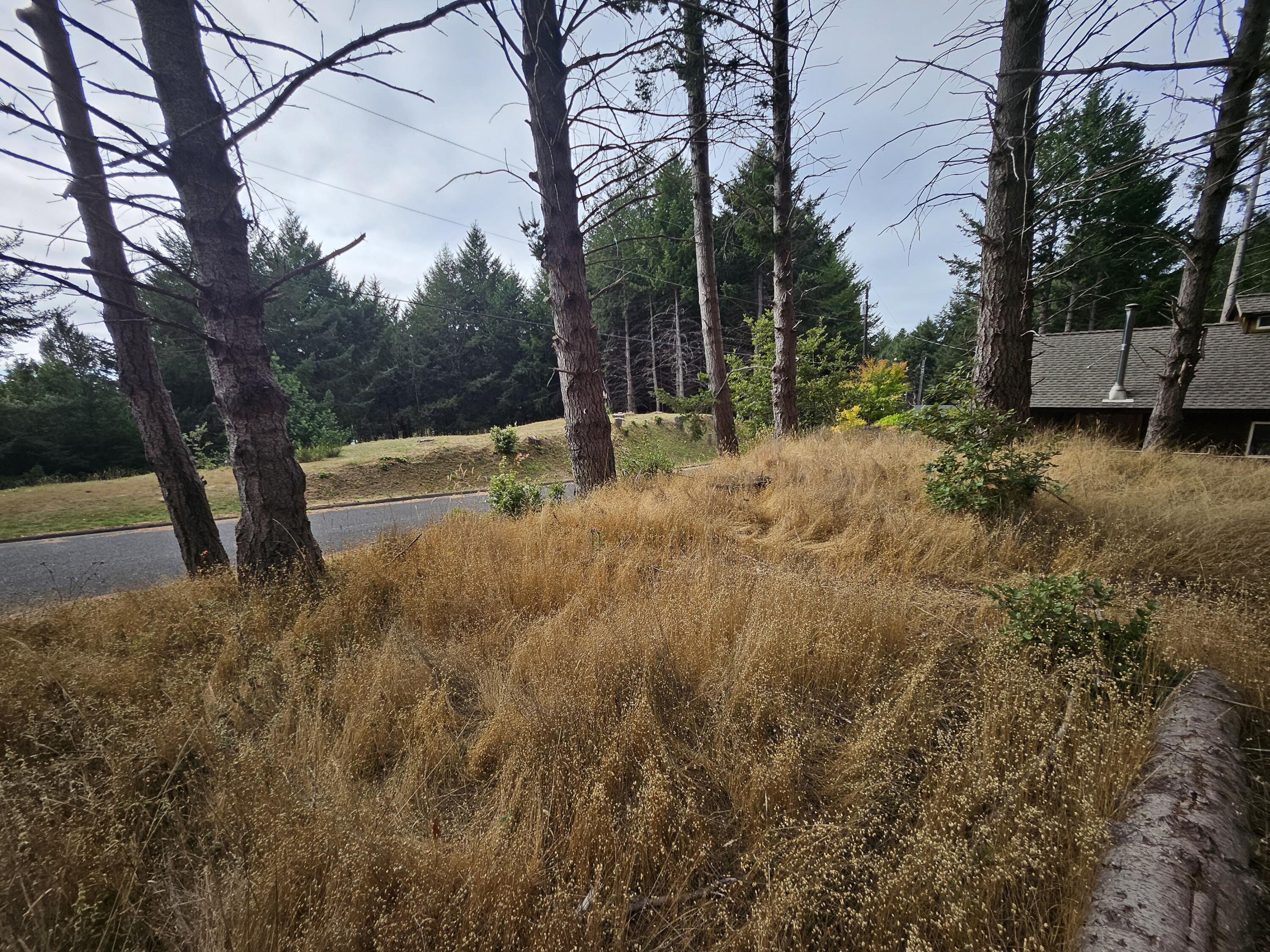341 Ridge Road Shelter Cove, CA 95589 - Photo 7 of 9 20250928_152300