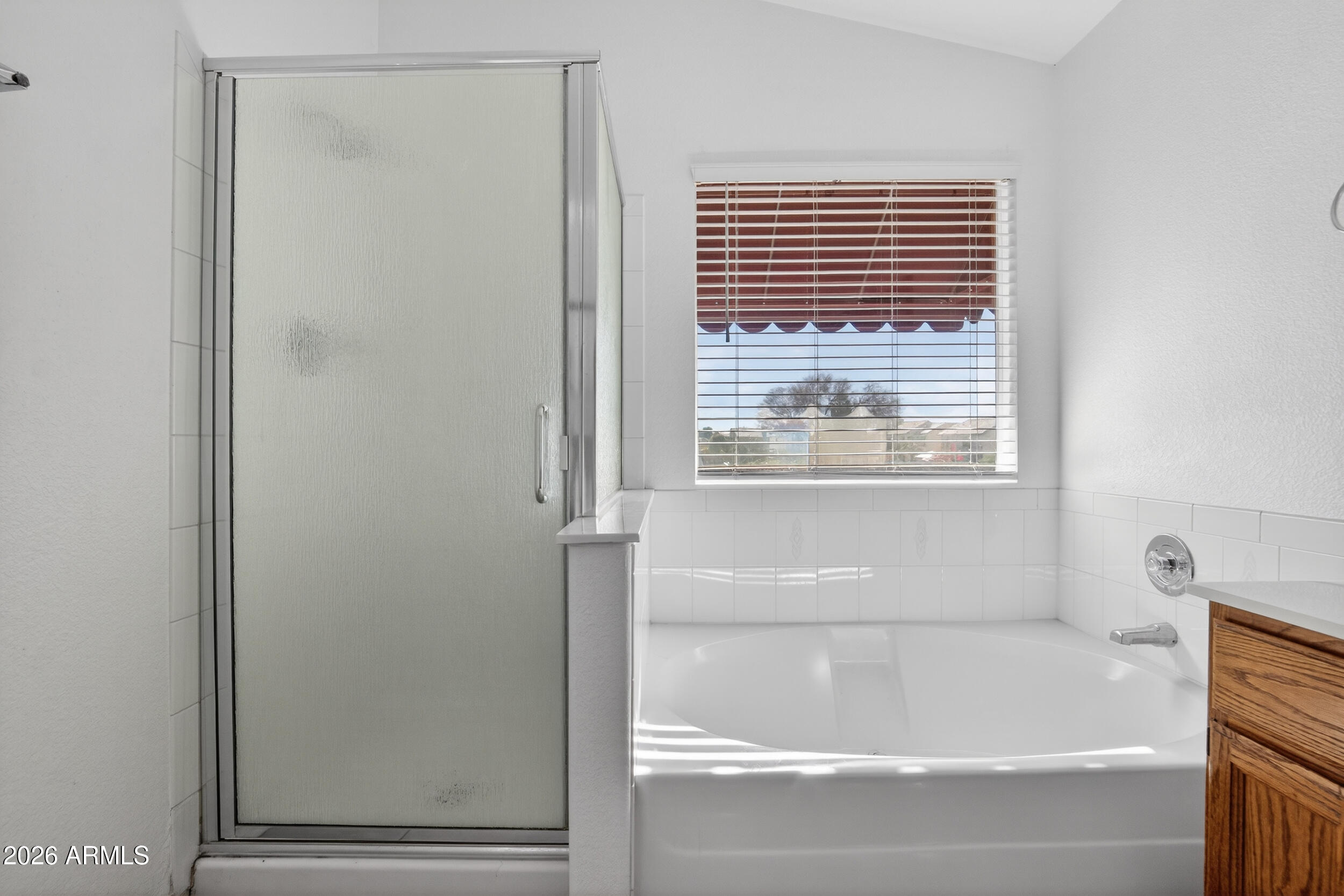 1363 East Butler Circle Chandler, AZ 85225 - Photo 20 of 41 a bathroom with a bathtub and a shower