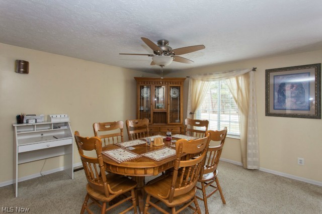 491 Substation Road Brunswick, OH 44212 - Photo 3 of 16 Gallery Image 3