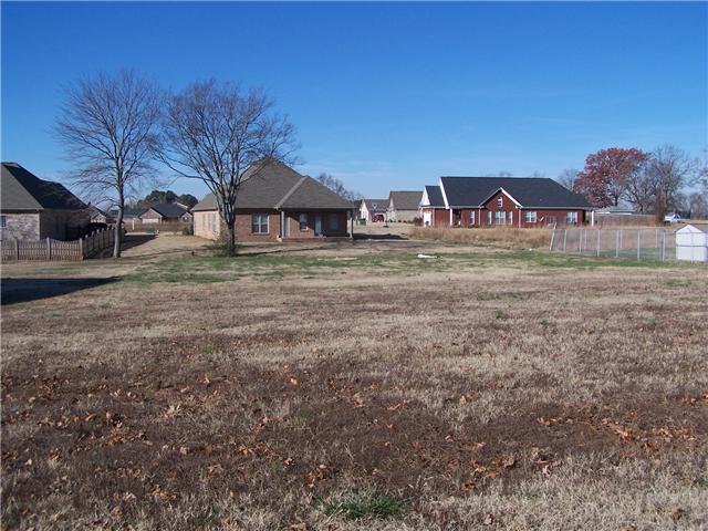 1 Briar Patch Lane Ardmore, AL 35739 - Photo 2 of 4