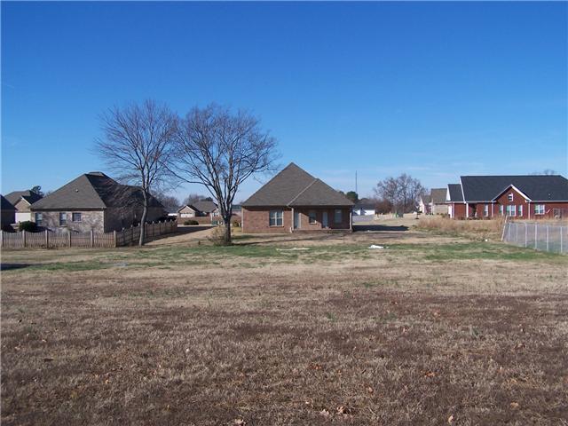 1 Briar Patch Lane Ardmore, AL 35739 - Photo 4 of 4