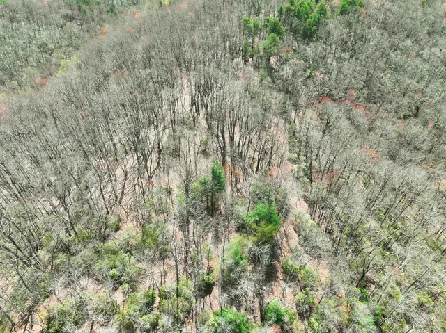 $630,000 | 0 Willard Creek Lane, Stuart, VA 24171