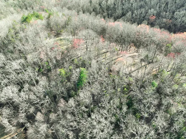 $630,000 | 0 Willard Creek Lane, Stuart, VA 24171