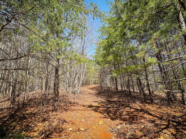 $630,000 | 0 Willard Creek Lane, Stuart, VA 24171