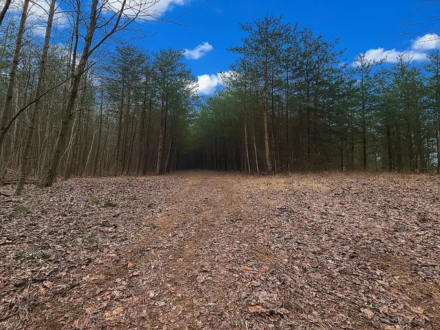 $630,000 | 0 Willard Creek Lane, Stuart, VA 24171