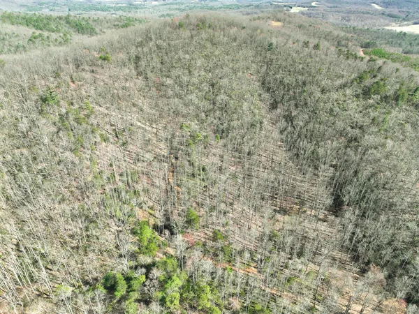 $630,000 | 0 Willard Creek Lane, Stuart, VA 24171