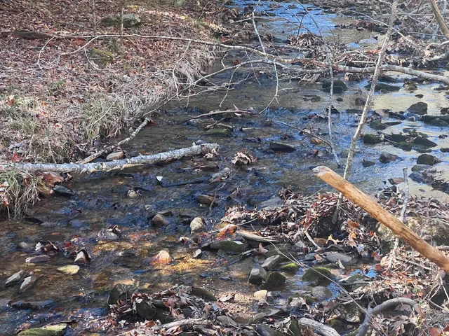 $630,000 | 0 Willard Creek Lane, Stuart, VA 24171