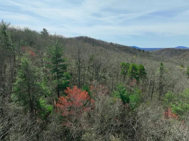 $630,000 | 0 Willard Creek Lane, Stuart, VA 24171