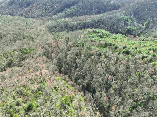 $630,000 | 0 Willard Creek Lane, Stuart, VA 24171