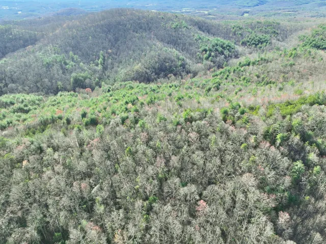 $630,000 | 0 Willard Creek Lane, Stuart, VA 24171