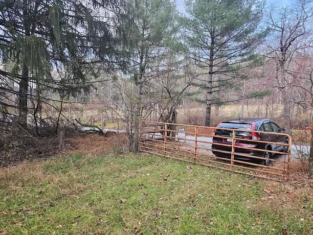 a big yard with lots of green space and house view