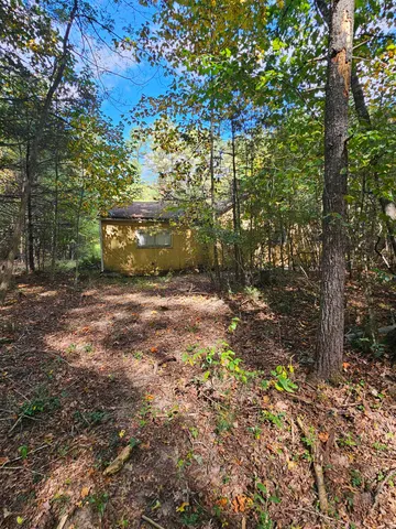a view of a yard with plants and trees