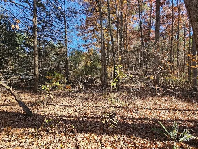 a view of a pathway of a building