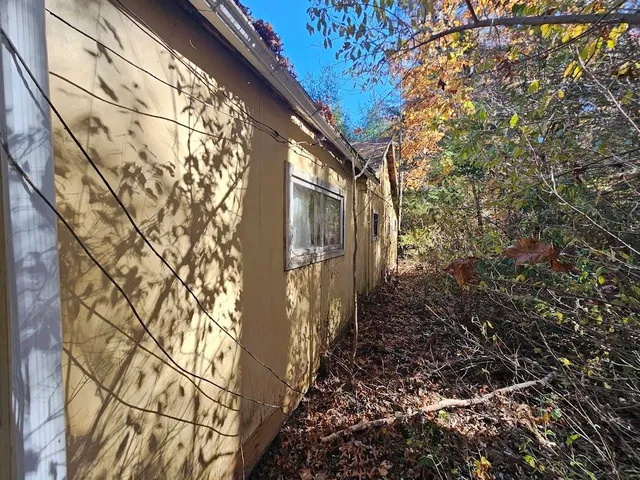 a view of a yard with trees