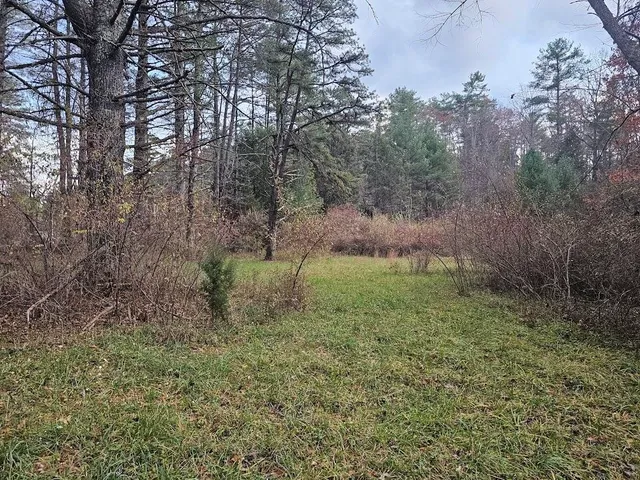 a backyard of a house with lots of green space