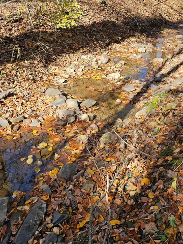 $84,900 | 2804 Old Parkersburg Turnpike, Unit 1 34 ACRE CAMP, West Augusta, VA 24485